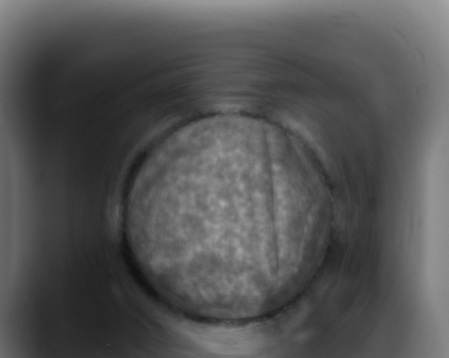 X0000088390016200705291418