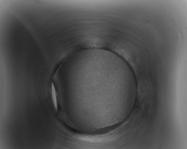 X0000088390017200705291418