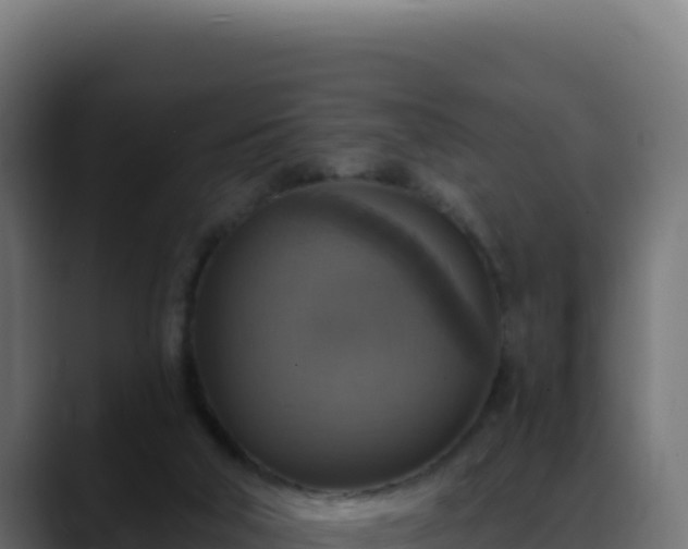 X0000088390018200705291418