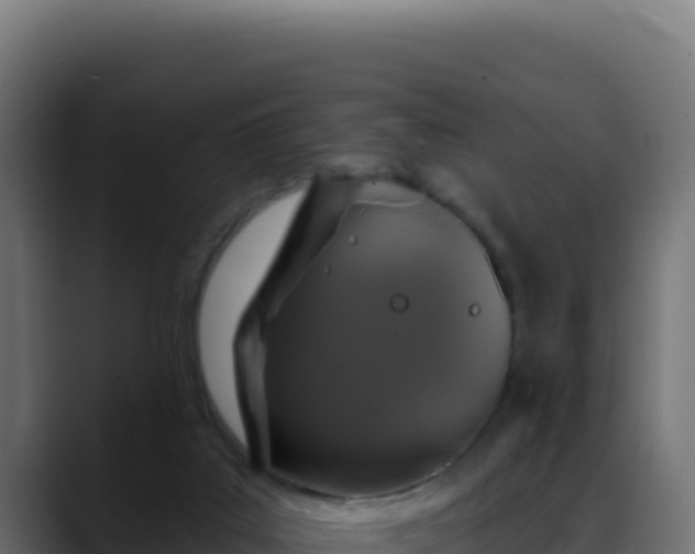 X0000088390019200705291418