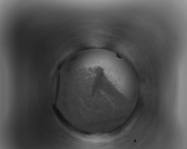 X0000088390020200705291417