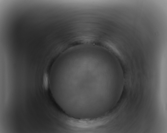 X0000088390022200705291417