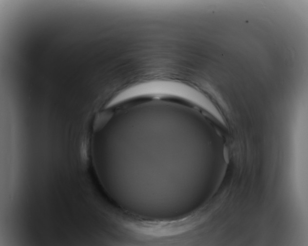 X0000088390023200705291417