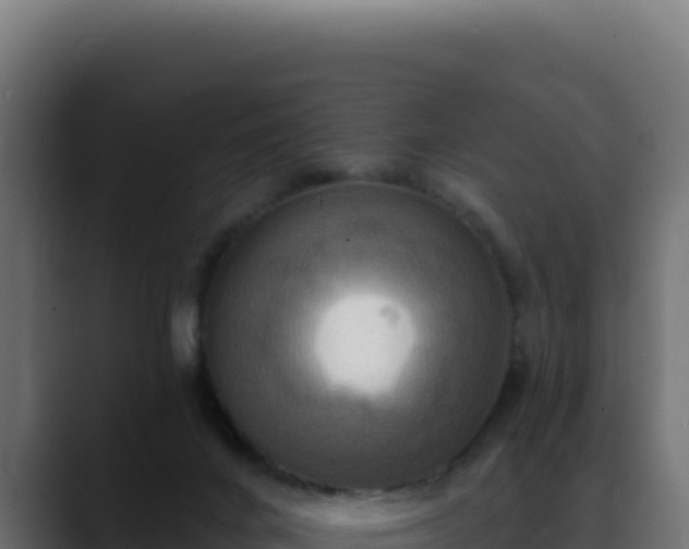 X0000088390024200705291417