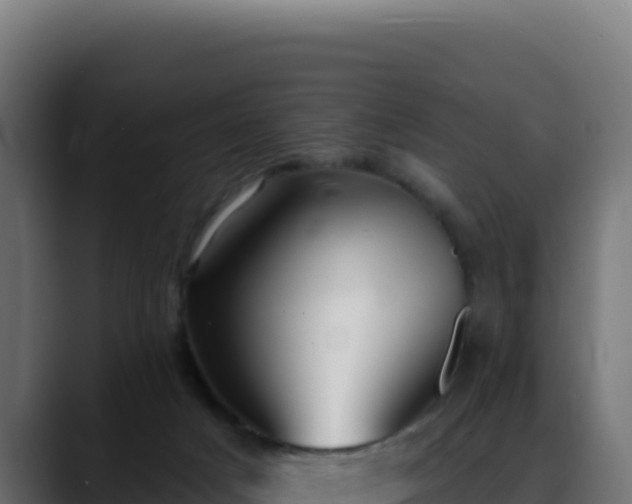 X0000088390025200705291417