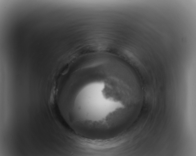 X0000088390026200705291417