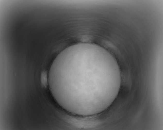 X0000088390028200705291417