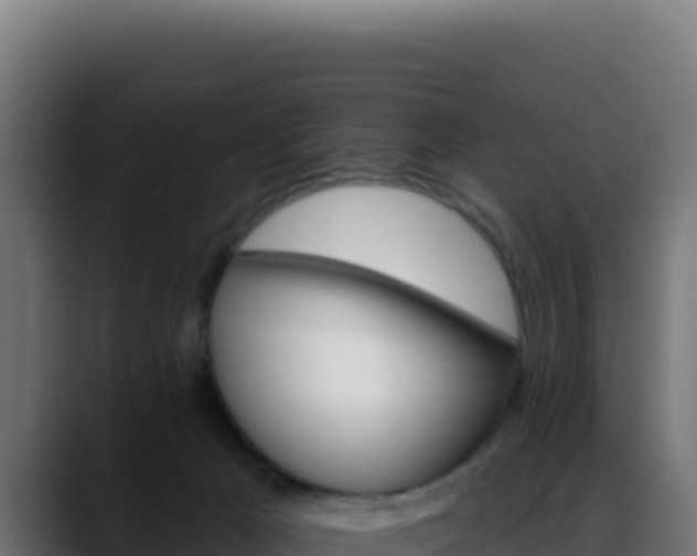 X0000088390029200705291417