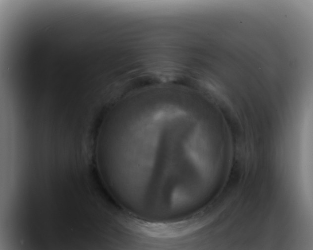 X0000088390030200705291417