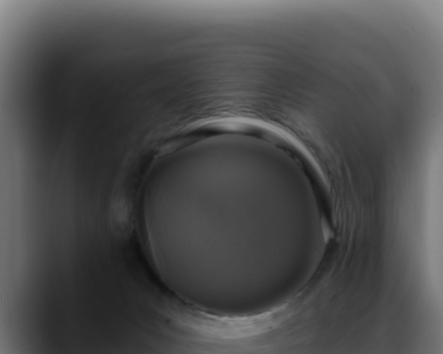 X0000088390031200705291417