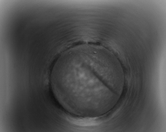 X0000088390032200705291417