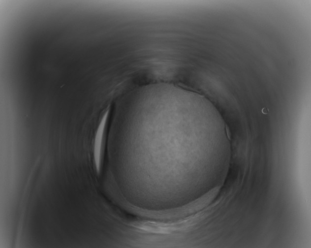 X0000088390033200705291417