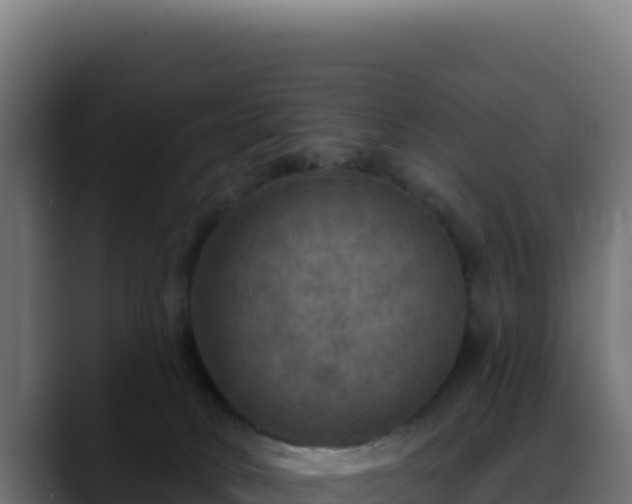 X0000088390034200705291417