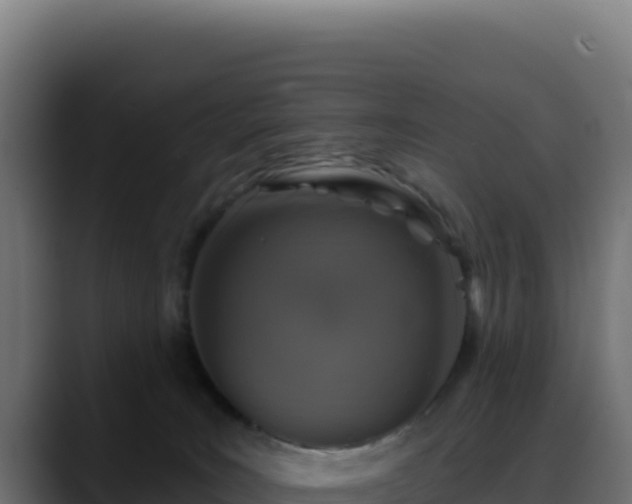 X0000088390035200705291417