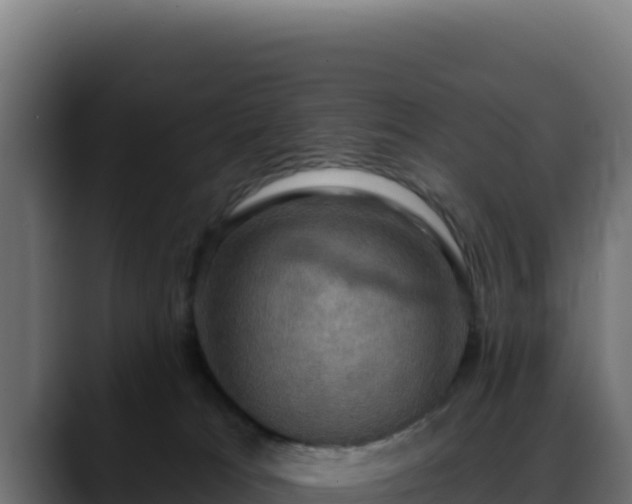 X0000088390037200705291417