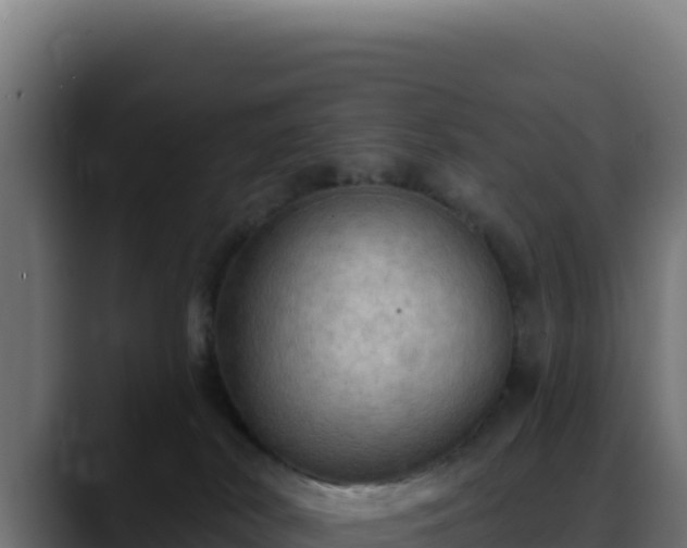 X0000088390038200705291417