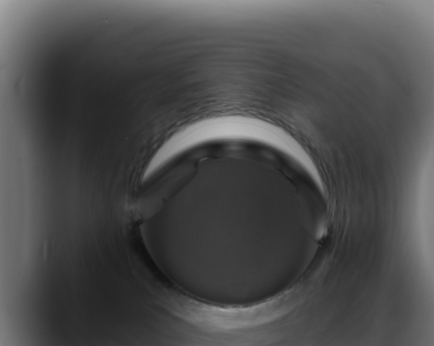 X0000088390039200705291417