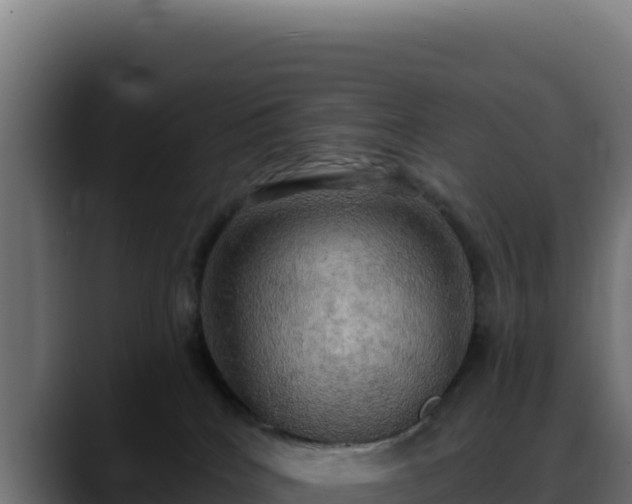 X0000088390040200705291417