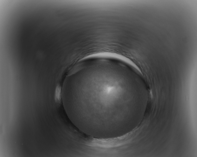 X0000088390041200705291417