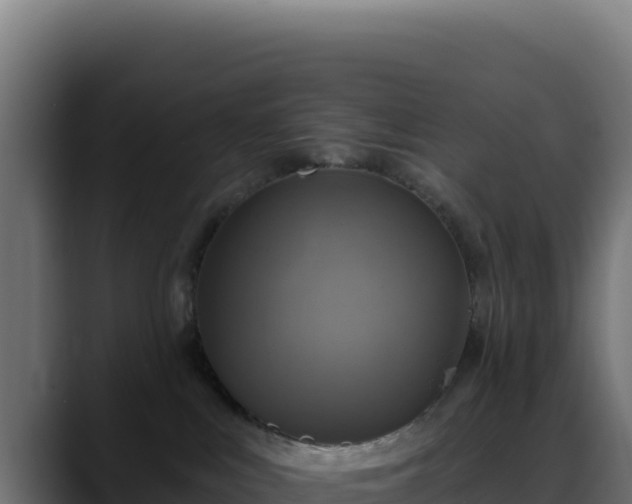 X0000088390043200705291417