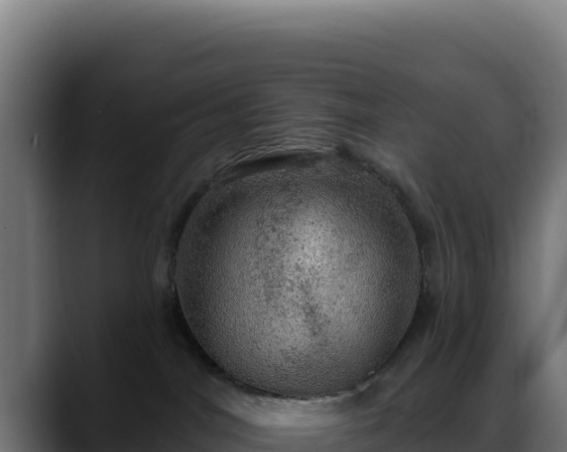 X0000088390044200705291417