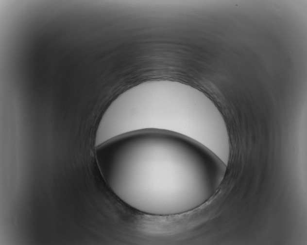 X0000088390045200705291417