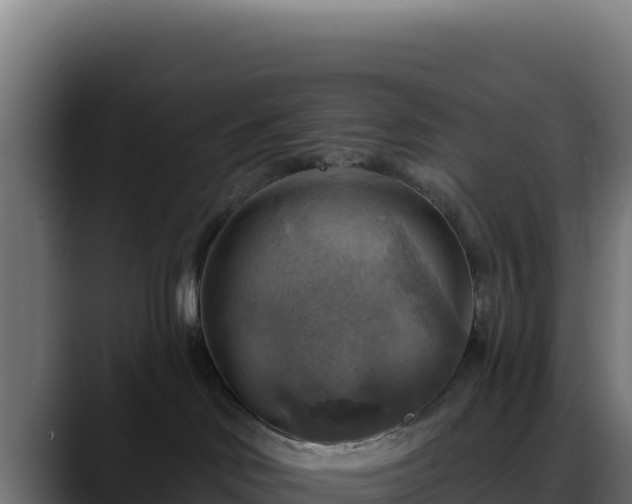 X0000088390046200705291417