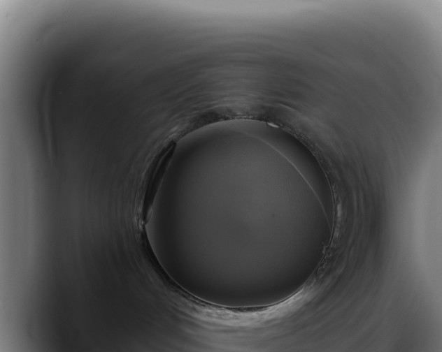 X0000088390048200705291417