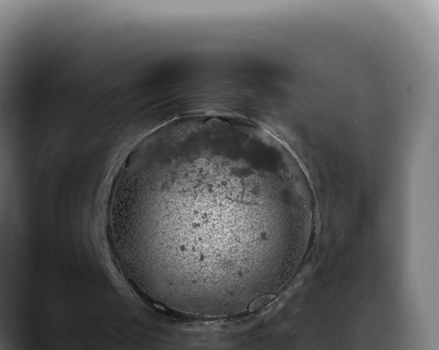 X0000088390049200705291417