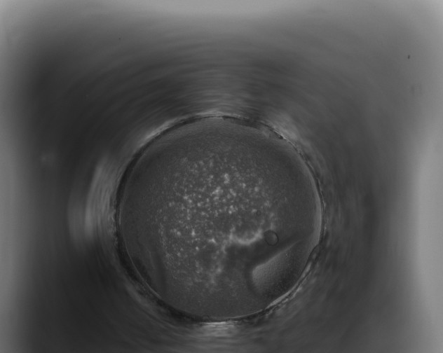 X0000088390050200705291417