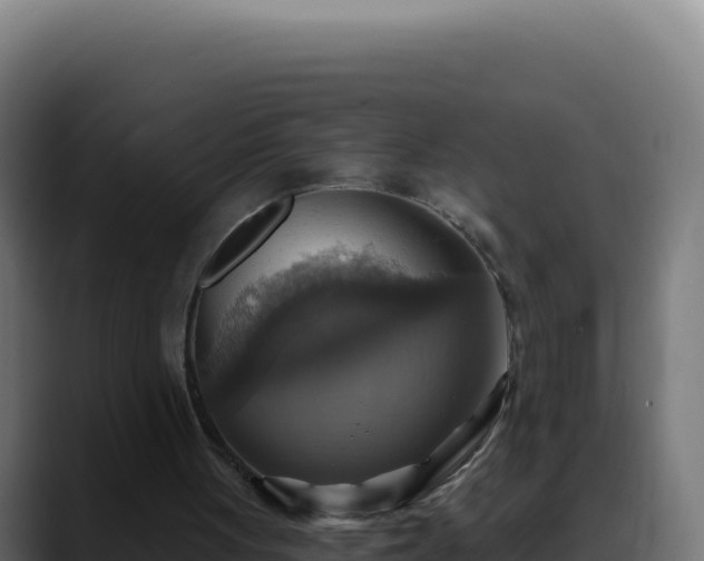 X0000088390051200705291417