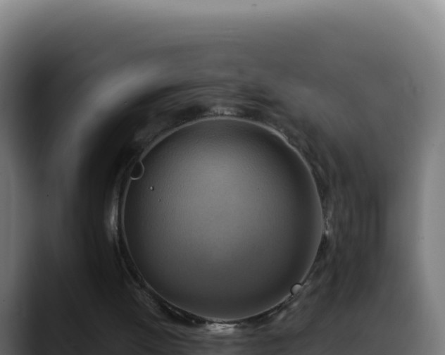 X0000088390052200705291417