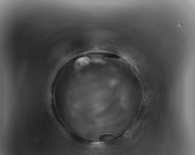 X0000088390053200705291417