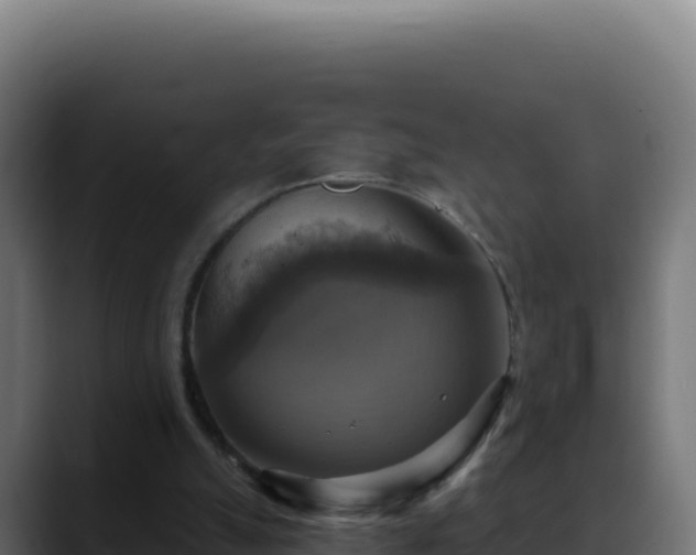 X0000088390055200705291417