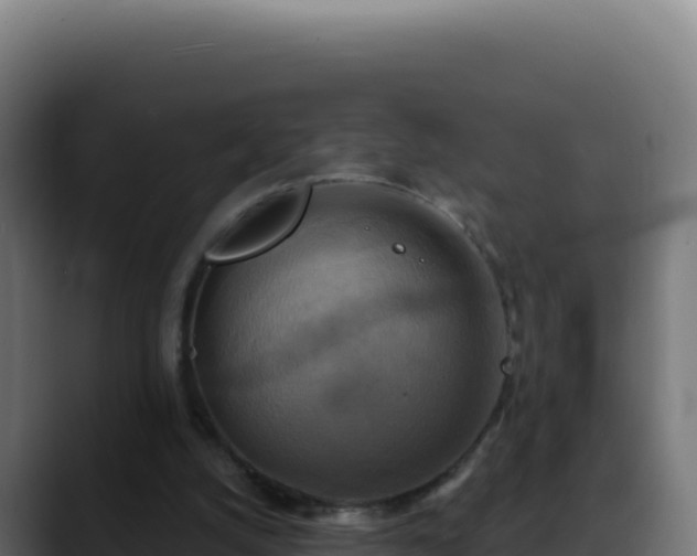 X0000088390056200705291417