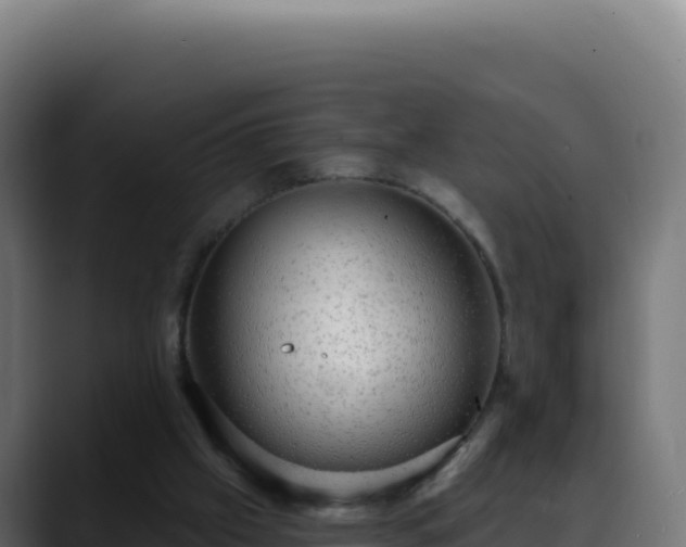 X0000088390057200705291417