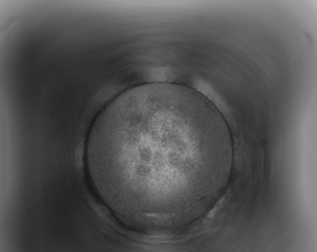 X0000088390058200705291417