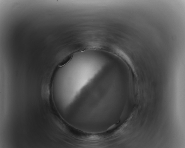 X0000088390059200705291417