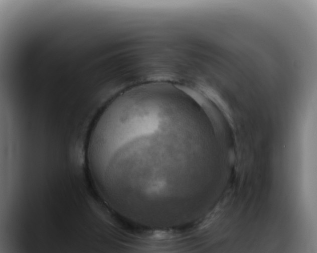 X0000088390060200705291417