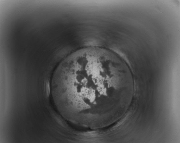 X0000088390061200705291417