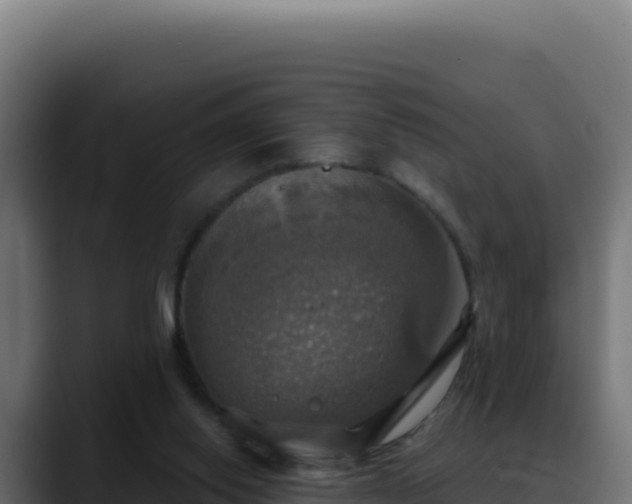 X0000088390062200705291417