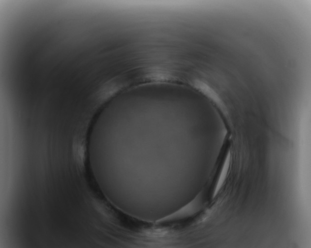 X0000088390063200705291417