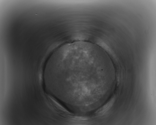 X0000088390064200705291417