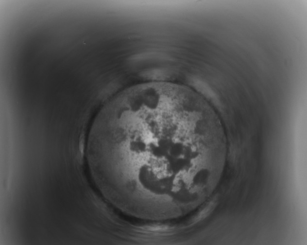 X0000088390065200705291417