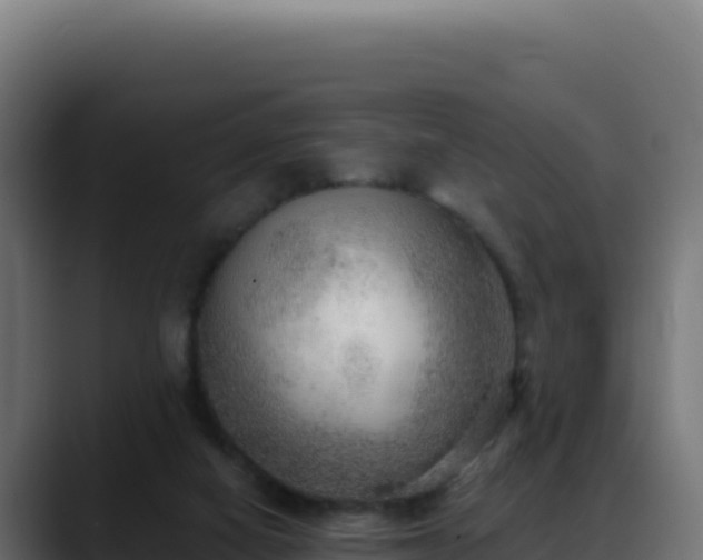 X0000088390066200705291417