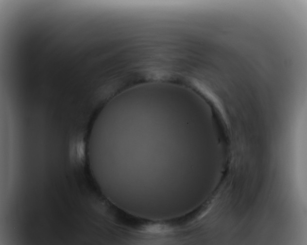 X0000088390067200705291417