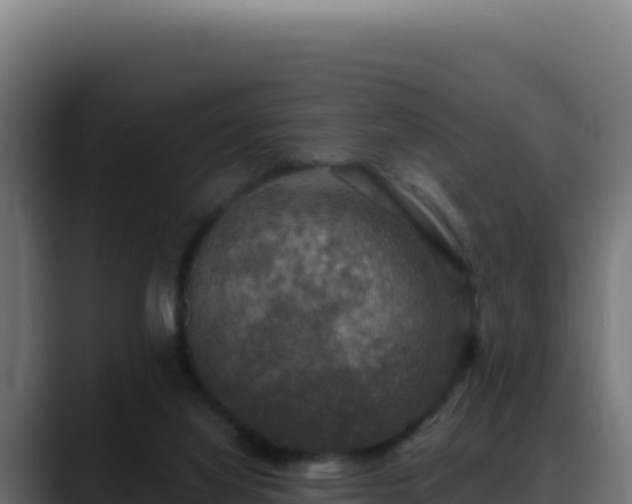 X0000088390068200705291417