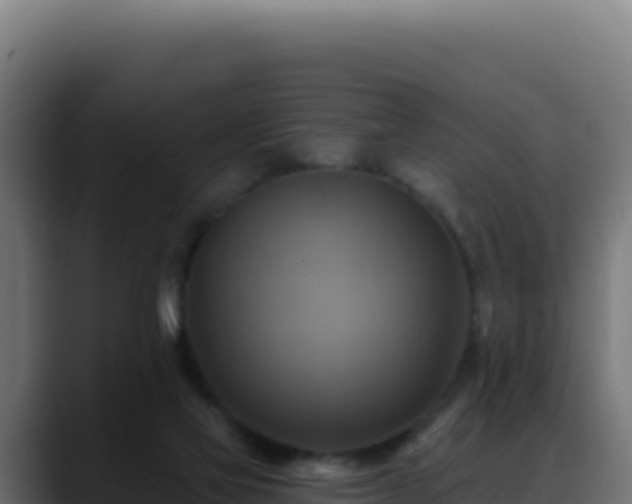 X0000088390069200705291417