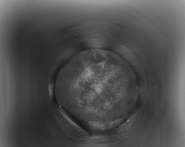 X0000088390070200705291417