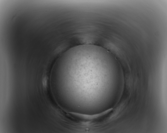 X0000088390071200705291417